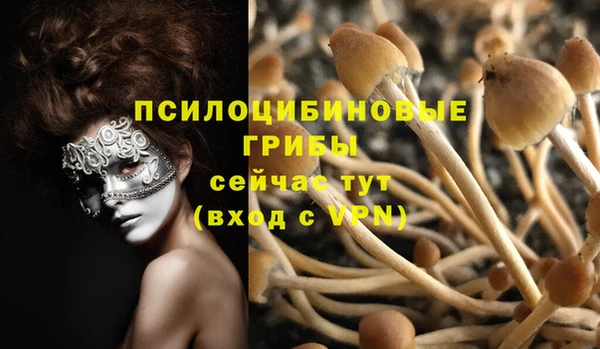 бутират Верхний Тагил